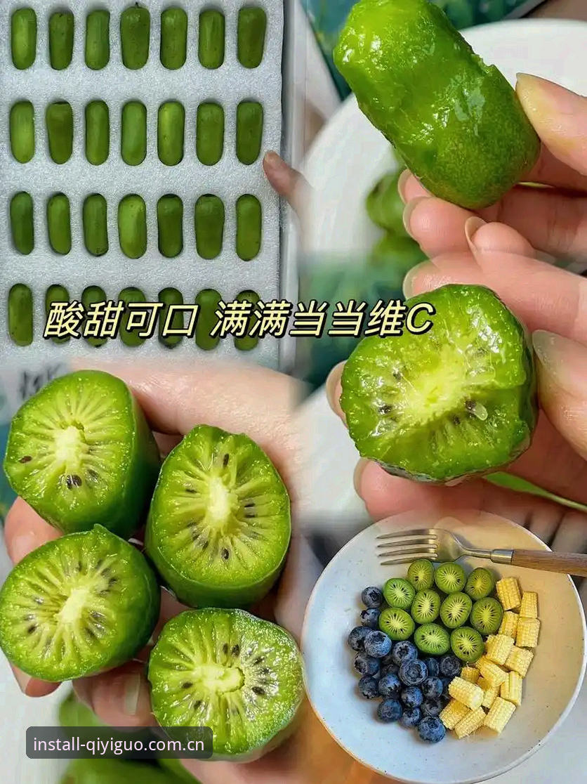 奇异果体育下载地址手机版实用指南：新手必备操作技巧